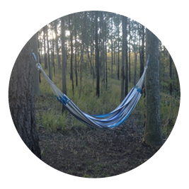 hammocks